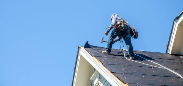 Best Roof Restoration Services  in Kings Bay Base, GA